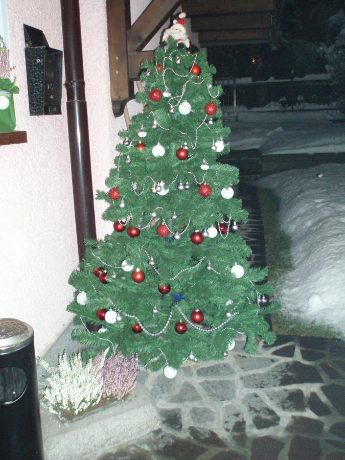 Casa Salvaterra Affittacamere Pinzolo Luaran gambar